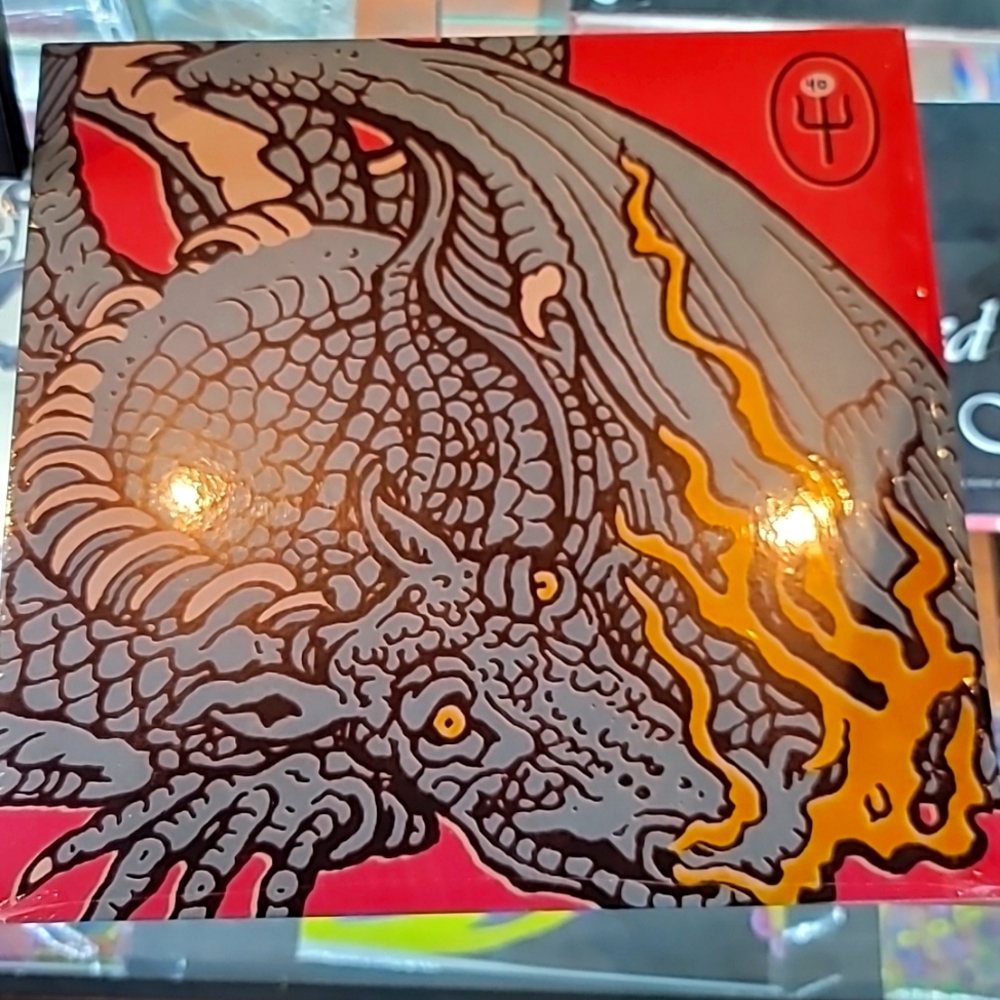 Twenty One Pilots - scalled and icy - 12" Vinyl Record